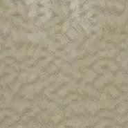 Talbot (F7871-04)